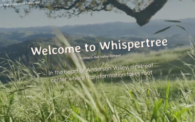 Whispertree
